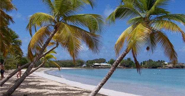 3 activités à faire en Martinique